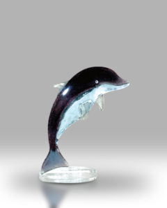 Dolphin – Black