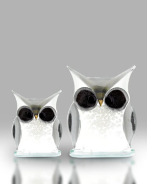 Owl – White